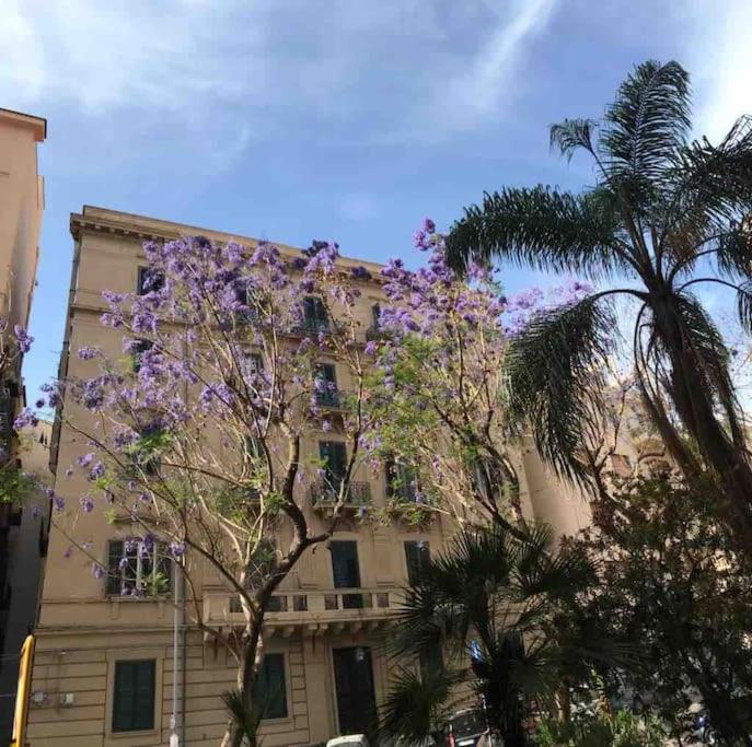 Bibi Appartamento A Due Passi Dal Tribunale Centro Palermo Exteriör bild